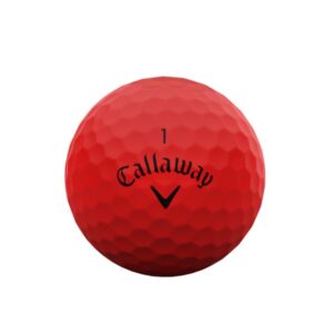 Champion Golfbälle - WEIß - 25 Stück im Netzbeutel